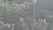 Archived webcam image showing Bärenfels - Snowcam on 5 Oct 2026 at 14:05