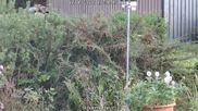 Archived webcam image showing Bärenfels - Snowcam on 5 Oct 2026 at 18:05