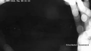 Archiviertes Webcam Bild: Hohegeiß Braunlage: Blick über das Tal am 28.05.2026 um 00:35 Uhr