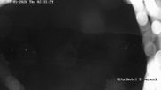 Archiviertes Webcam Bild: Hohegeiß Braunlage: Blick über das Tal am 28.05.2026 um 02:35 Uhr