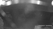 Archiviertes Webcam Bild: Hohegeiß Braunlage: Blick über das Tal am 29.05.2026 um 02:26 Uhr