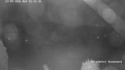 Archived webcam image showing Braunlage-Hohegeiß: Panoramic view on 23 Sep 2026 at 02:40