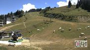 Archived webcam image showing Chamois d'Or - 1450 m a.s.l. on 2 Jul 2026 at 12:07
