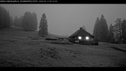 Archived webcam image showing Base station Haldenköpfle - Mountain hut on 13 Apr 2026 at 06:02