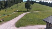 Archiviertes Webcam Bild: Skilift Ruhestein am 28.05.2026 um 10:32 Uhr