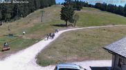 Archiviertes Webcam Bild: Skilift Ruhestein am 04.07.2026 um 12:59 Uhr