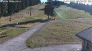 Archiviertes Webcam Bild: Skilift Ruhestein am 12.07.2026 um 08:03 Uhr