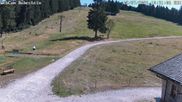 Archiviertes Webcam Bild: Skilift Ruhestein am 12.07.2026 um 10:03 Uhr