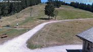 Archiviertes Webcam Bild: Skilift Ruhestein am 12.07.2026 um 12:03 Uhr