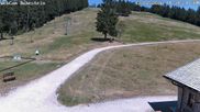 Archiviertes Webcam Bild: Skilift Ruhestein am 12.07.2026 um 14:03 Uhr