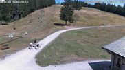 Archiviertes Webcam Bild: Skilift Ruhestein am 26.08.2026 um 14:03 Uhr