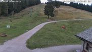 Archiviertes Webcam Bild: Skilift Ruhestein am 10.10.2026 um 16:48 Uhr