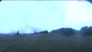 Archiviertes Webcam Bild: Menzenschwand: Schwinbachskilift am 11.10.2026 um 07:42 Uhr