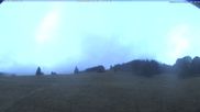 Archiviertes Webcam Bild: Menzenschwand: Schwinbachskilift am 11.10.2026 um 08:42 Uhr