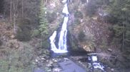 Archived webcam image showing Waterfall in Triberg on 1 May 2026 at 06:56