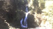 Archived webcam image showing Waterfall in Triberg on 1 May 2026 at 12:56