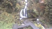 Archiviertes Webcam Bild: Triberg Wasserfall am 11.10.2026 um 08:11 Uhr