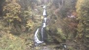 Archived webcam image showing Waterfall in Triberg on 17 Oct 2026 at 08:14