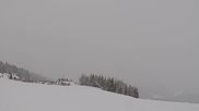 Archiviertes Webcam Bild: Sunshine Village: Wawa Sessellift am 12.04.2026 um 18:09 Uhr