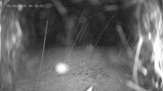 Archived webcam image showing Ladurns: Top Station Wastenegg on 5 Jun 2026 at 00:15
