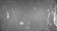 Archived webcam image showing Ladurns: Top Station Wastenegg on 5 Jun 2026 at 02:15