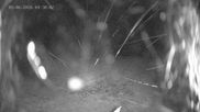 Archived webcam image showing Ladurns: Top Station Wastenegg on 5 Jun 2026 at 04:15