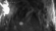 Archived webcam image showing Ladurns: Top Station Wastenegg on 28 Jul 2026 at 04:13