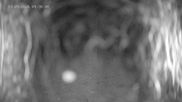 Archived webcam image showing Ladurns: Top Station Wastenegg on 13 Sep 2026 at 04:28