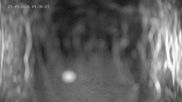 Archived webcam image showing Ladurns: Top Station Wastenegg on 21 Sep 2026 at 04:26