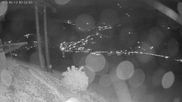 Archiviertes Webcam Bild: Kitzbühel: Gaisberg Bergstation am 12.06.2026 um 00:22 Uhr