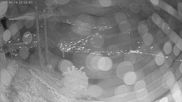 Archived webcam image showing Gaisberg top station on 16 Jun 2026 at 22:07