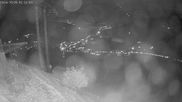 Archiviertes Webcam Bild: Kitzbühel: Gaisberg Bergstation am 05.10.2026 um 02:48 Uhr