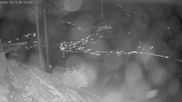 Archiviertes Webcam Bild: Kitzbühel: Gaisberg Bergstation am 12.10.2026 um 00:33 Uhr