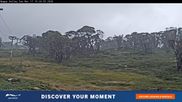 Archived webcam image showing Perisher: Happy Valley T-bar on 17 Mar 2026 at 06:38