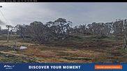 Archiviertes Webcam Bild: Perisher: Happy Valley Schlepplift am 15.06.2026 um 06:47 Uhr