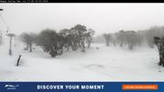 Archiviertes Webcam Bild: Perisher: Happy Valley Schlepplift am 13.07.2026 um 00:09 Uhr