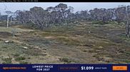 Archived webcam image showing Perisher: Happy Valley T-bar on 4 Oct 2026 at 22:20