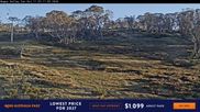 Archiviertes Webcam Bild: Perisher: Happy Valley Schlepplift am 10.10.2026 um 22:05 Uhr
