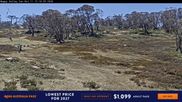 Archiviertes Webcam Bild: Perisher: Happy Valley Schlepplift am 11.10.2026 um 04:05 Uhr