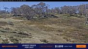 Archiviertes Webcam Bild: Perisher: Happy Valley Schlepplift am 11.10.2026 um 06:05 Uhr
