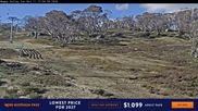 Archiviertes Webcam Bild: Perisher: Happy Valley Schlepplift am 11.10.2026 um 08:05 Uhr