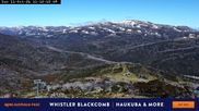 Archiviertes Webcam Bild: Perisher: Bergstation Freedom Lift am 11.10.2026 um 02:05 Uhr