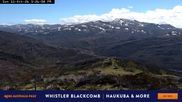 Archiviertes Webcam Bild: Perisher: Bergstation Freedom Lift am 11.10.2026 um 06:05 Uhr