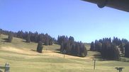 Archiviertes Webcam Bild: Skigebiet Hochlitten Riefensberg am 29.05.2026 um 16:32 Uhr