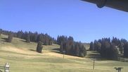 Archiviertes Webcam Bild: Skigebiet Hochlitten Riefensberg am 29.05.2026 um 18:32 Uhr