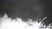 Archived webcam image showing St. Gallenkirch on 3 Aug 2026 at 02:17