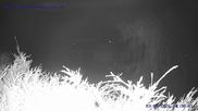 Archived webcam image showing St. Gallenkirch on 3 Aug 2026 at 04:17