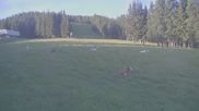 Archived webcam image showing Stuhleck: Top station Promibahn on 4 Jul 2026 at 06:36