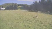 Archiviertes Webcam Bild: Stuhleck: Bergstation Promibahn und Beginnerpark am 12.07.2026 um 18:46 Uhr