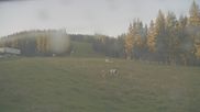 Archived webcam image showing Stuhleck: Top station Promibahn on 15 Aug 2026 at 06:31